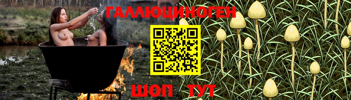 Ижевск  Псилоцибиновые грибы Magic Shrooms  Вход с VPN 
