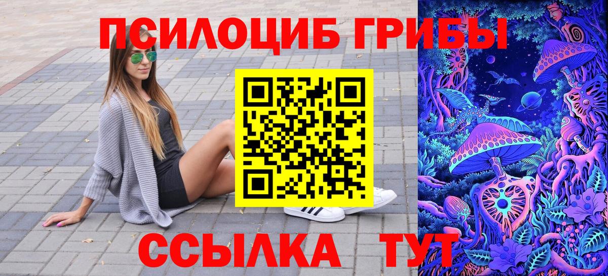 Псилоцибиновые грибы Cubensis Ижевск