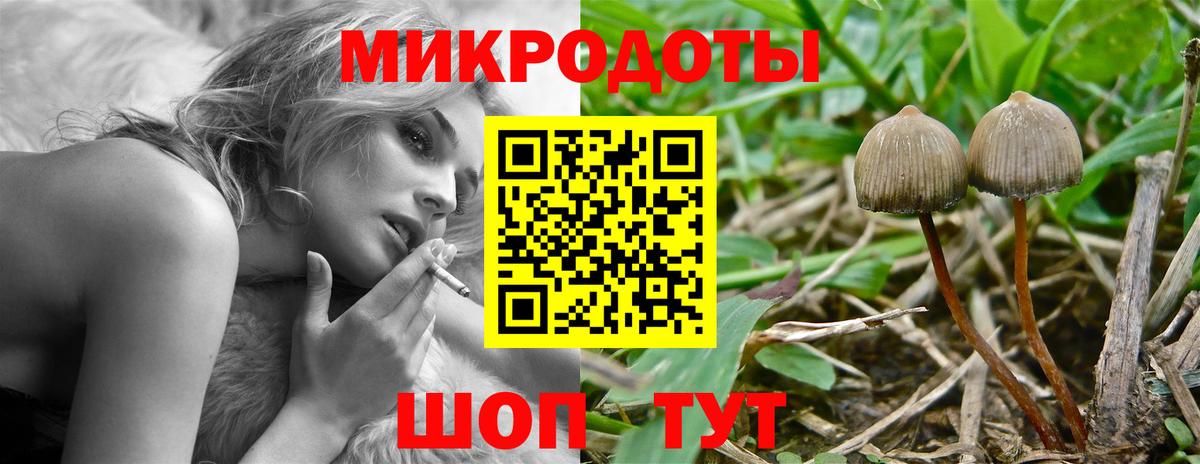 Меф Ижевск